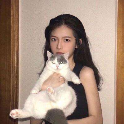 光之荣耀bt版下载